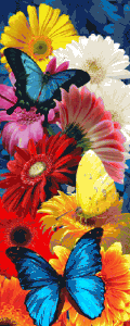 Закладка 3D Бабочки в цветах 